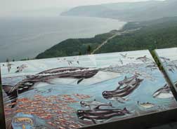 Cape Breton Cabot Trail drive